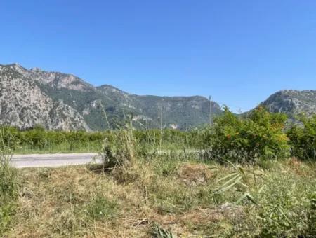 6,500M2 Field For Sale On The Iztuzu Road In Dalyan