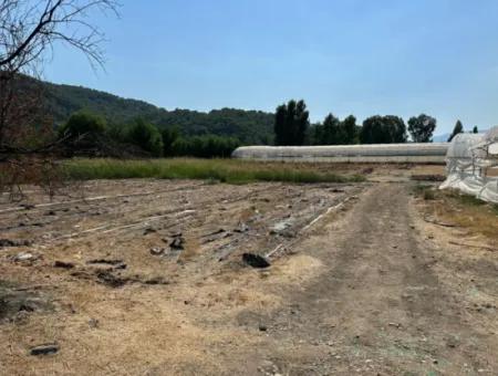 1462M2 Zoned Land For Sale In Ortaca Ekşiliyurt