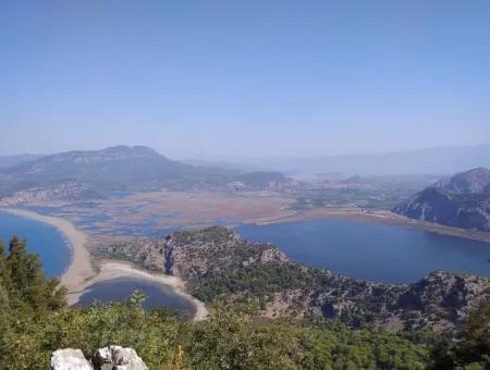 Gökbelde Satılık Arsa Dalyan İztuzu Yoluna Sıfır 7484M2 Göle Sıfır Satılık Arsa