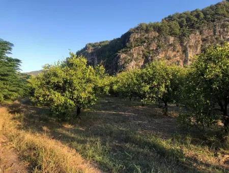 Okçular Satılık Arsa 1359M2 Satılık Arsa