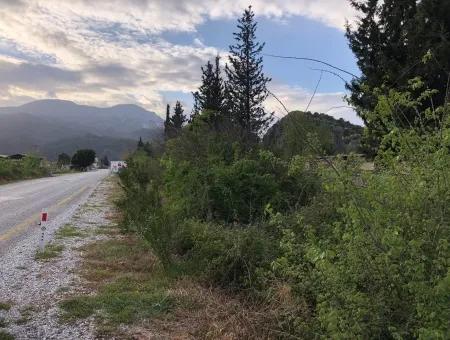 Dalyan Gülpınar'da  Anayola Sıfır 9,037M2 Satılık Arsa