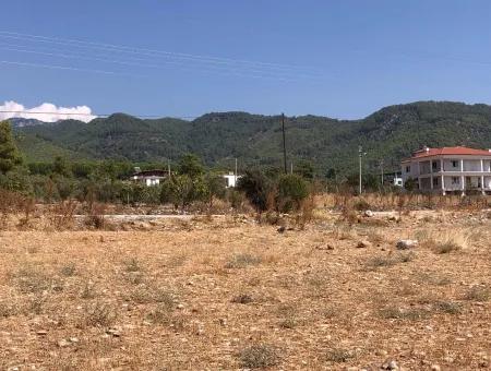 Köyceğiz Zeytinalanı'nda Göl Manzaralı 11.227M2 Satılık Arsa