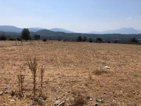 Köyceğiz Zeytinalanı'nda Göl Manzaralı 11.227M2 Satılık Arsa