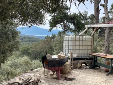 Ekincikde Deniz Manzaralı Zeytin Evi Satılıktır