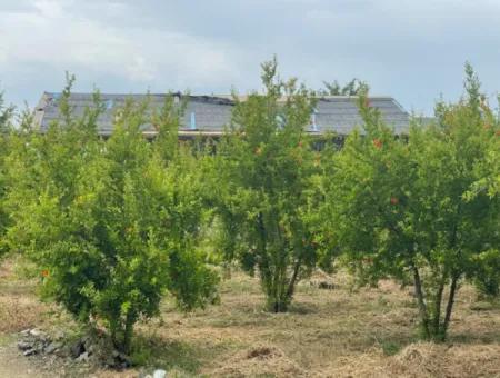 Dalyan''da Merkeze Yakın 2,528M2 Satılık Tarla